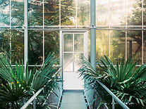 Ingeniería Industrial